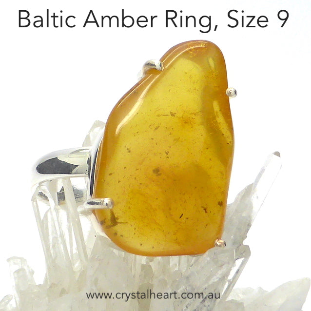 Amber Ring, Baltic, Freeform Nugget, 925 Silver, r5