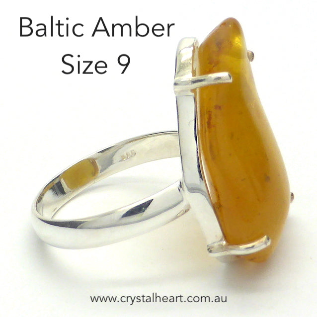 Amber Ring, Baltic, Freeform Nugget, 925 Silver, r5