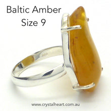 Load image into Gallery viewer, Amber Ring, Baltic, Freeform Nugget, 925 Silver, r5
