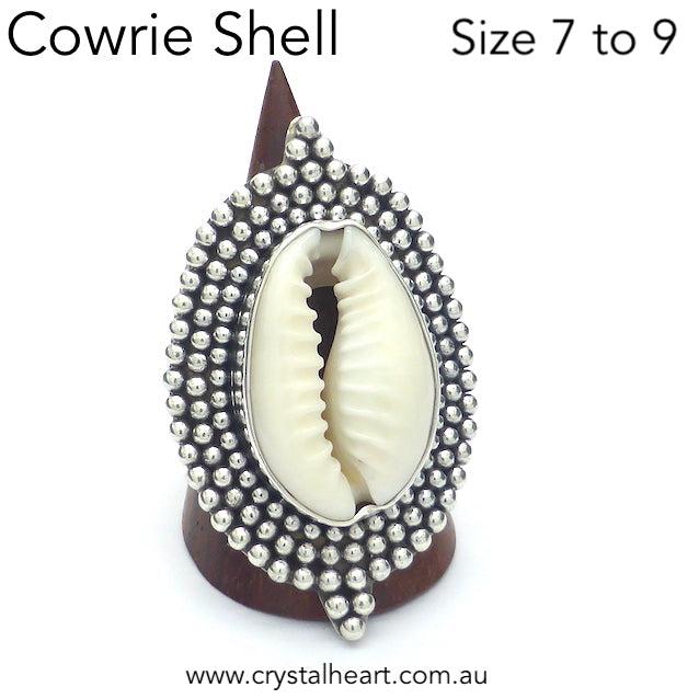 Cowrie Shell Ring, 925 Sterling Silver, kt