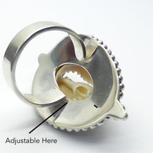 Load image into Gallery viewer, Cowrie Shell Ring | 925 Sterling Silver with Silver Ball work surround | Adjustable US Size 7 to 9 | Goddess connection and protection, fertility and abundance | Genuine Gems from Crystal Heart Australia Melbourne Australia since 1986