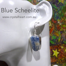 Load image into Gallery viewer, Blue Scheelite Earrings | Cabochon | 925 Sterling Silver | Bezel Set | Open Back | Genuine Gems from Crystal Heart Melbourne Australia since 1986