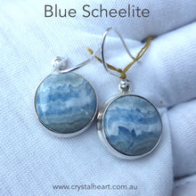 Load image into Gallery viewer, Blue Scheelite Earrings | Cabochon Rounds | 925 Sterling Silver | Bezel Set | Open Back | Genuine Gems from Crystal Heart Melbourne Australia since 1986