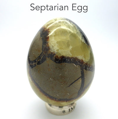 Septarian Gemstone Egg | Grounding | Healing | Expression | Genuine Gems from Crystal Heart Melbourne Australia since 1986