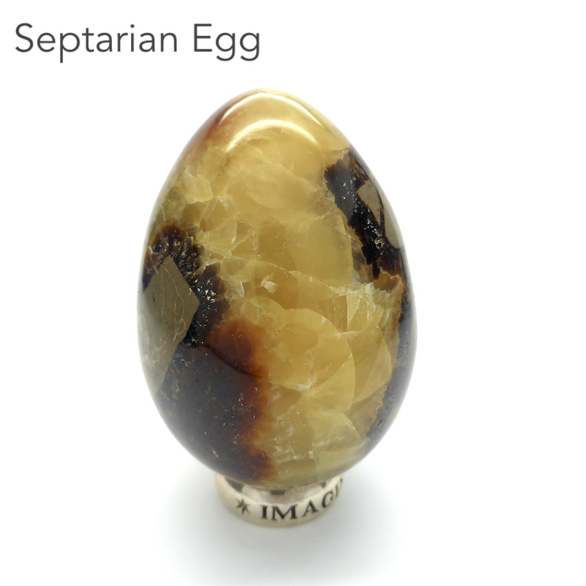 Septarian Gemstone Egg | Grounding | Healing | Expression | Genuine Gems from Crystal Heart Melbourne Australia since 1986