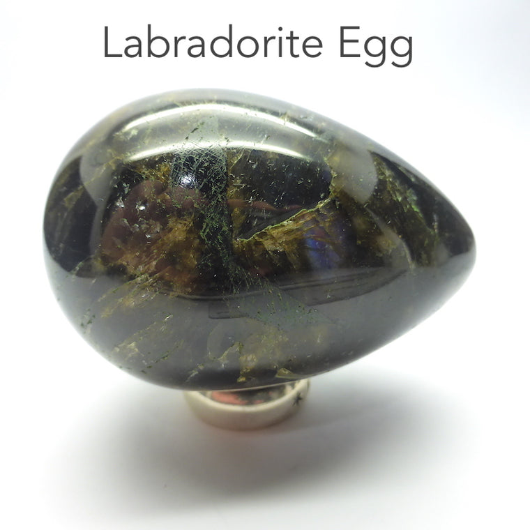 Labradorite Egg, w2