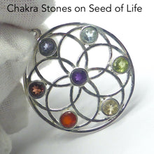 Load image into Gallery viewer, Chakra Pendant | Seven Faceted Gemstones set in Seed of Life Symbol | Amethyst, Carnelian, Garnet, Iolite, Peridot, Citrine, Blue Topaz | Well Made 925 Sterling Silver | Harmonic Interconnection with all that is | Genuine Gems from Crystal Heart Melbourne Australia since 1986Cost in Australian Dollars AUD $1111 AfterPay and Click&#39;n&#39;Collect also available at Checkout