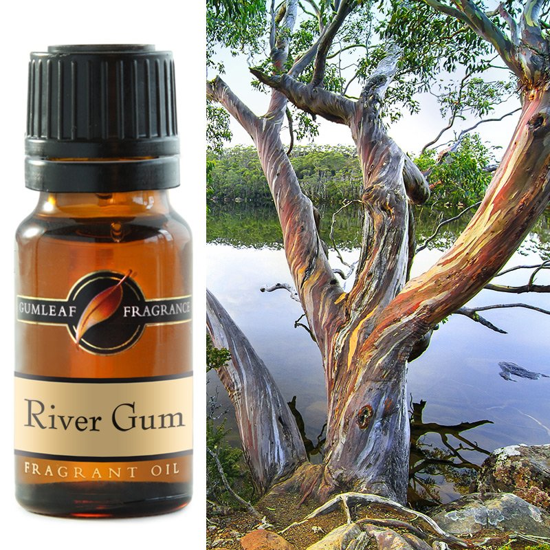  Fragrance Oil | River Gum Aroma | Eucalypts, ferns and moss, with spring wildflowers | Buckly & Phillip's | Australian Made | Ideal for use in oil burners, pot pourri & home fragrancing | Crystal Heart Australian Alternative Superstore since 1986 |