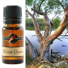 Load image into Gallery viewer,  Fragrance Oil | River Gum Aroma | Eucalypts, ferns and moss, with spring wildflowers | Buckly &amp; Phillip&#39;s | Australian Made | Ideal for use in oil burners, pot pourri &amp; home fragrancing | Crystal Heart Australian Alternative Superstore since 1986 |